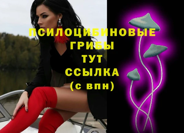 mdpv Коряжма