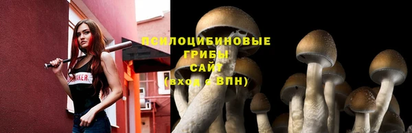 mdpv Коряжма